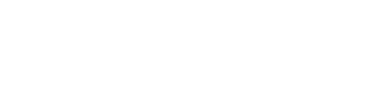 Janesville Authority
