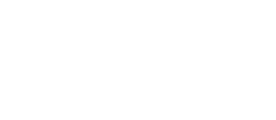 Turin Authority